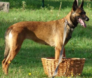 To be or not to be Du void de la bure